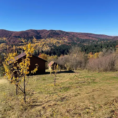 Kosivdim