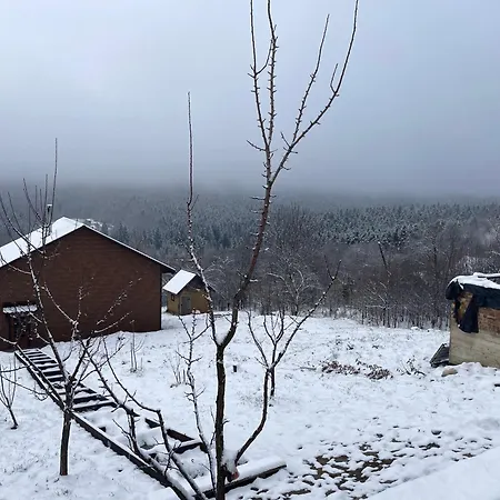 Apartment Kosivdim *